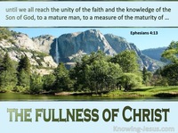 The Fullness of Christ